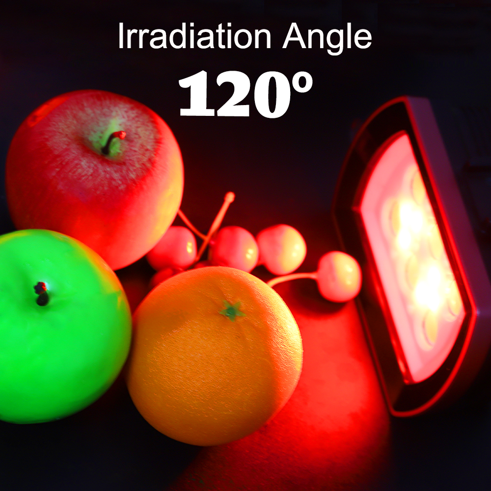 Seafrogs 40Meter Waterproof LE - Photography Lighting Brands avis et prix