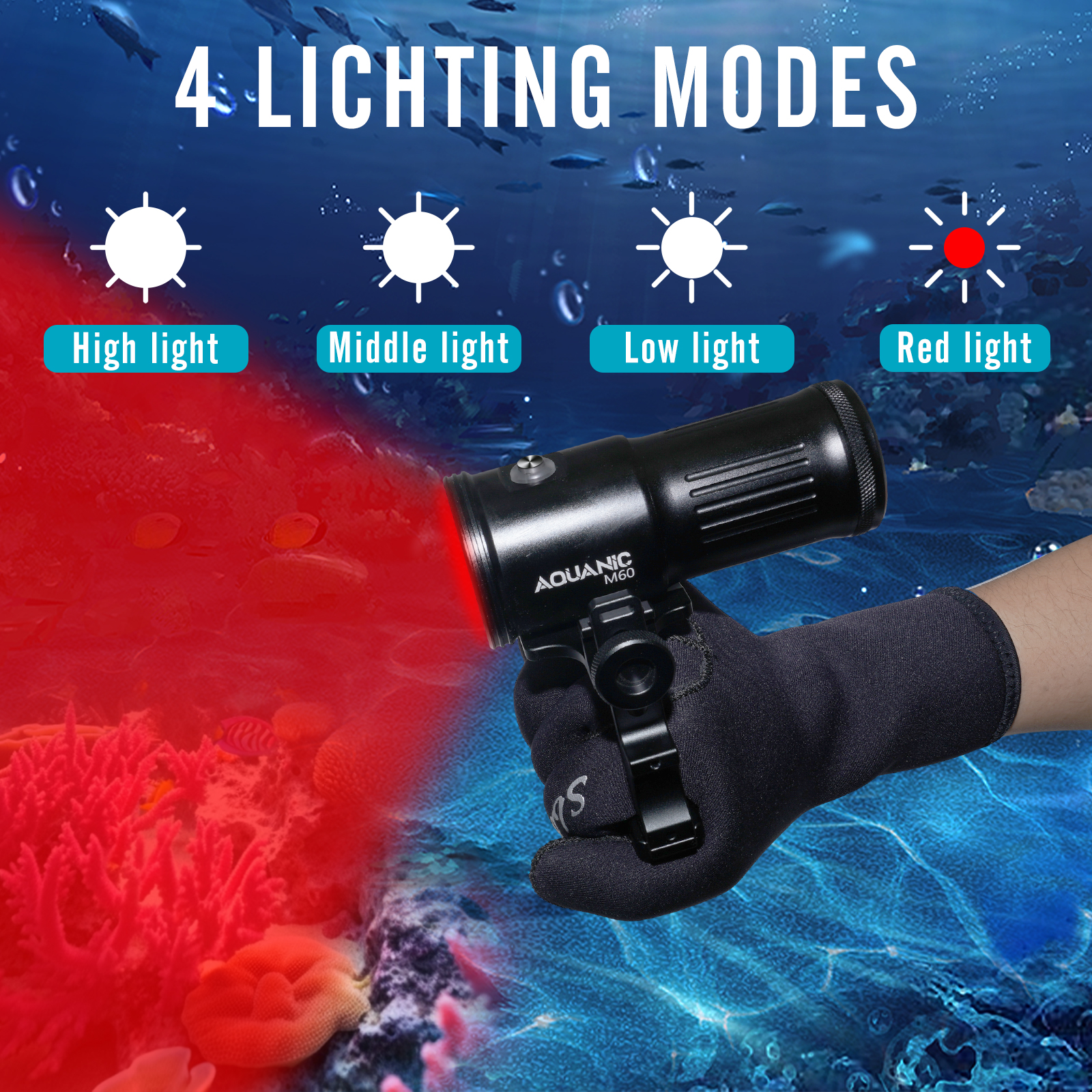 Nitescuba professional diving  - Photography Lighting Type avis et prix