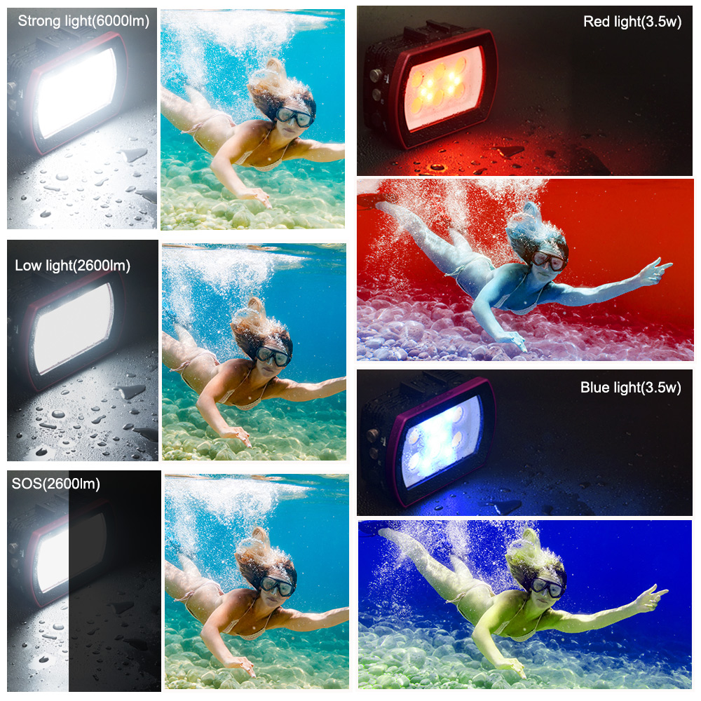 Seafrogs Aluminum LED Diving L - Photography Lighting Brands avis et prix